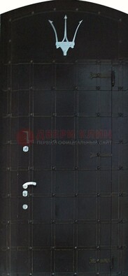 Металлическая арочная дверь ДА-22 высокого качества в Пензе