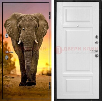 Металлическая дверь с фотопечатью слона ДФ-30 в Гатчине
