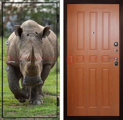 Металлическая дверь с фотопечатью носорога ДФ-31 в Балашихе