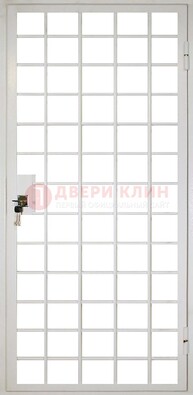 Белая металлическая решетчатая дверь ДР-2 в Гатчине