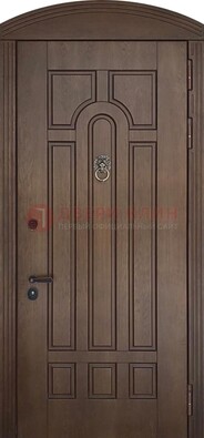 Коричневая стальная дверь с виноритом в форме арки ДВТ-237 в Гатчине